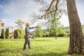 Best Lot and Land Clearing  in Conroe, TX