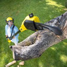 Best Lawn Grading and Leveling  in Conroe, TX